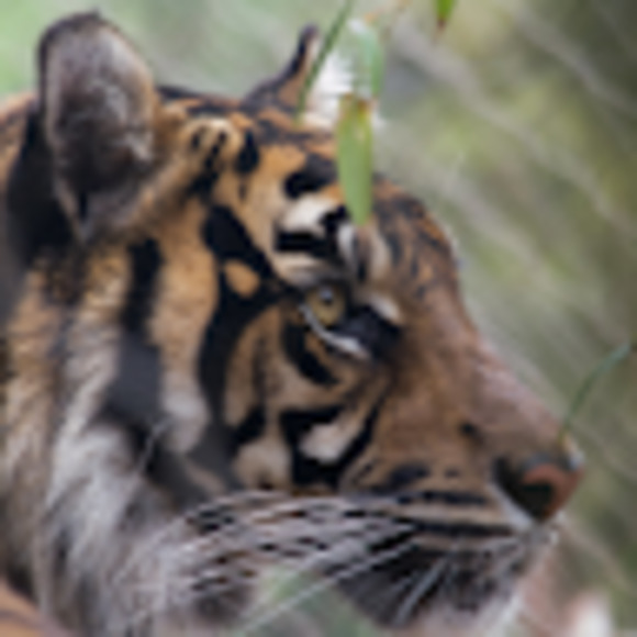 Meet your Posher, Melissa - Picture 1 of 1